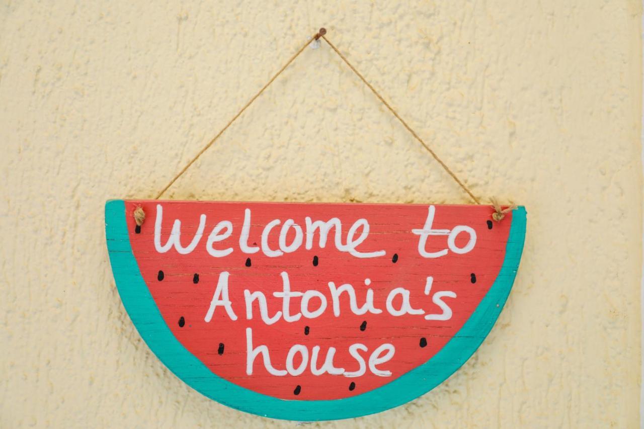 Antonia House Leilighet Skiáthos Eksteriør bilde